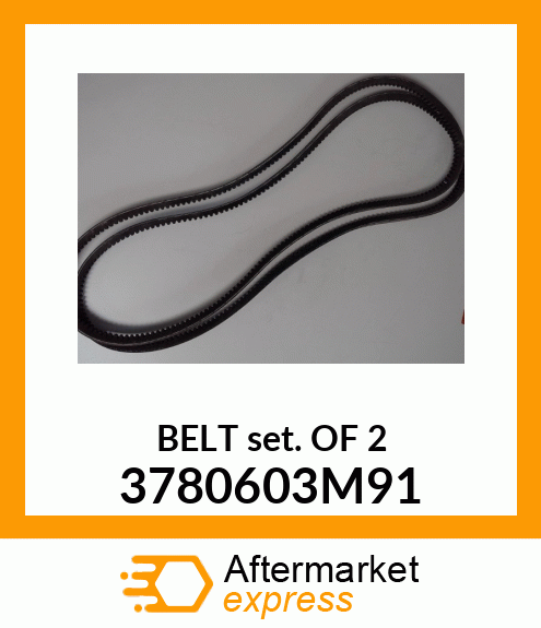 BELTSET 3780603M91