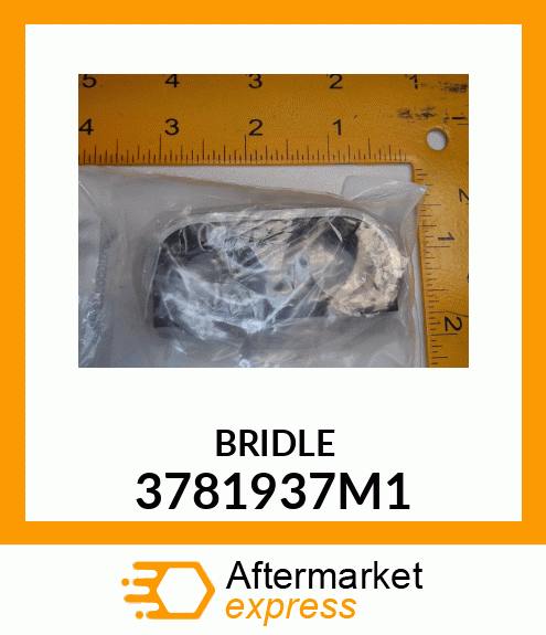 BRIDLE 3781937M1