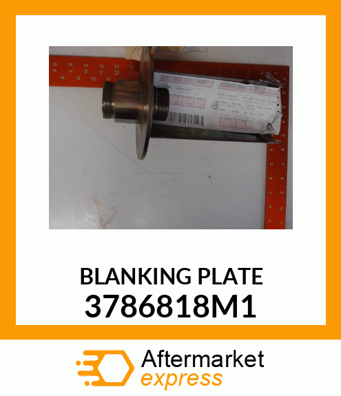 BLANKING PLATE 3786818M1