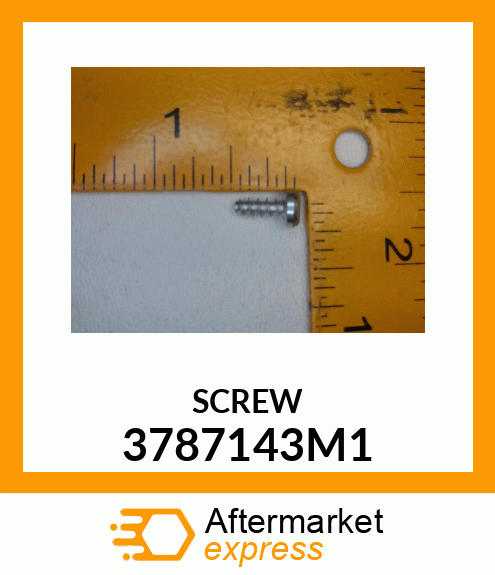 SCREW 3787143M1