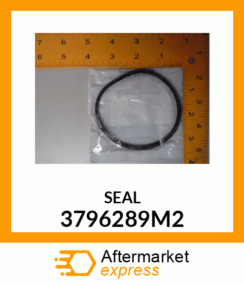 SEAL 3796289M2