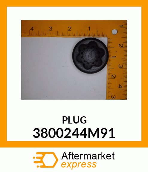 PLUG 3800244M91