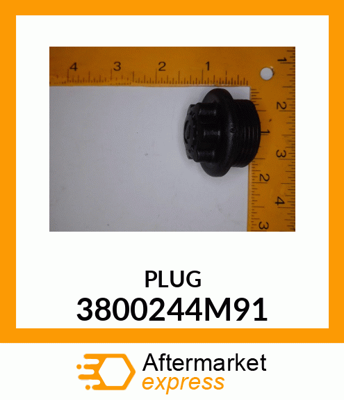 PLUG 3800244M91