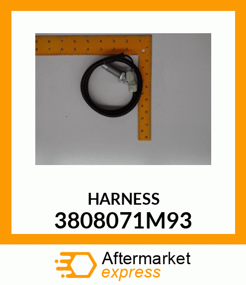 HARNESS 3808071M93