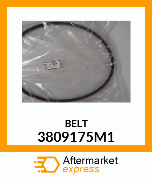 BELT 3809175M1