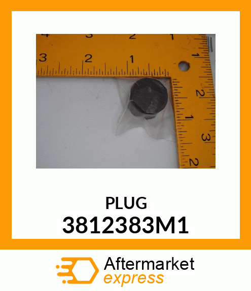 PLUG 3812383M1