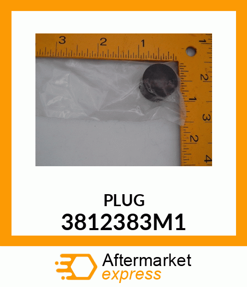 PLUG 3812383M1