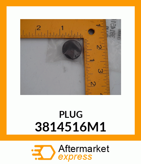 PLUG 3814516M1