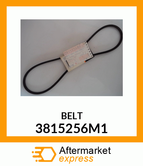 BELT 3815256M1