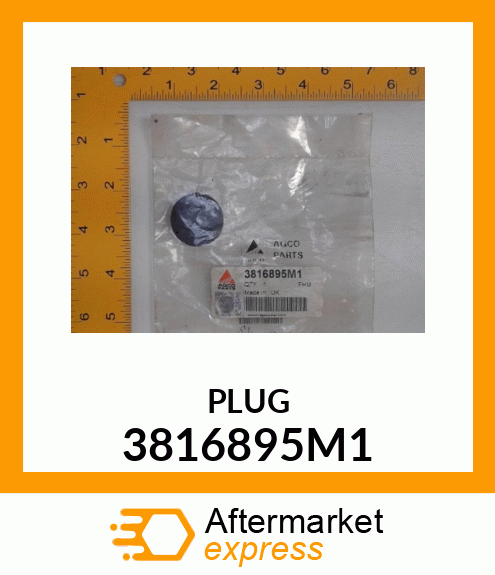 PLUG 3816895M1