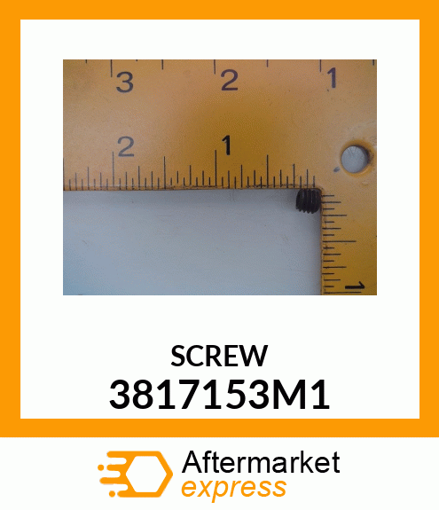 SCREW 3817153M1