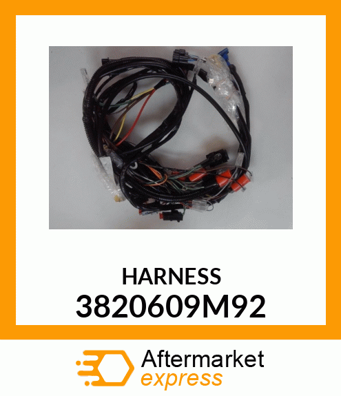 HARNESS 3820609M92