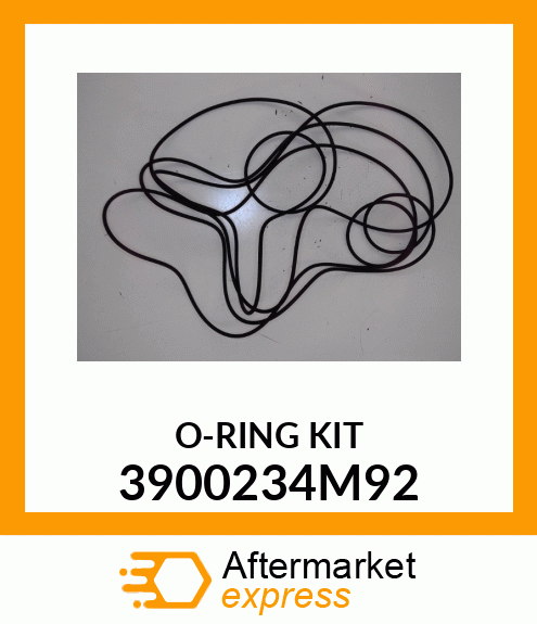 O-RINGKIT4PC 3900234M92