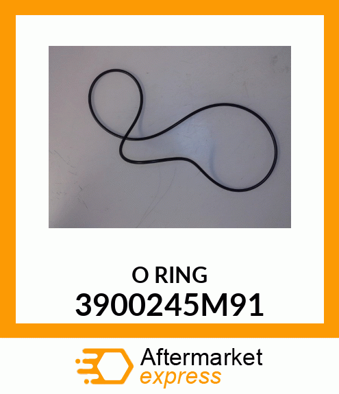 O_RING 3900245M91