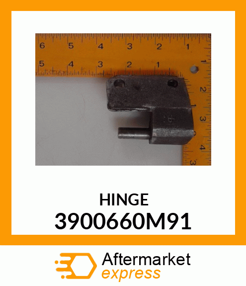 HINGE 3900660M91