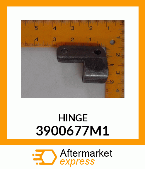 HINGE 3900677M1