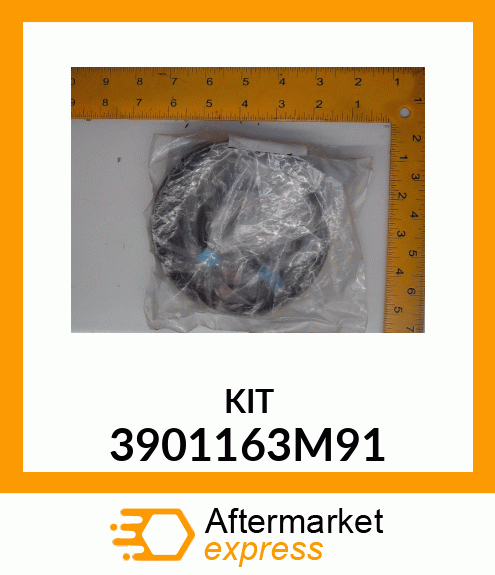 KIT 3901163M91