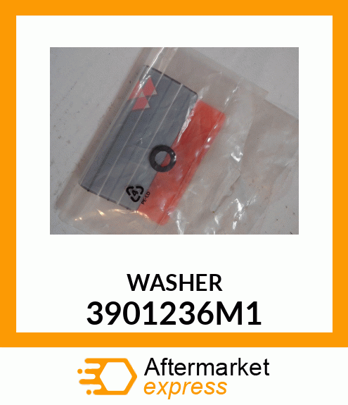 WASHER 3901236M1