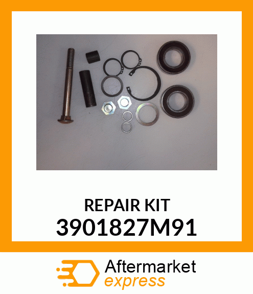 REPAIR_KIT 3901827M91