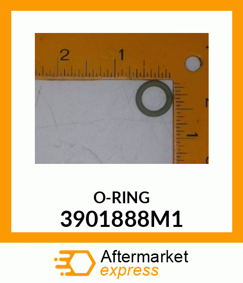 ORING 3901888M1