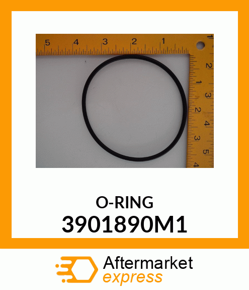 O-RING 3901890M1