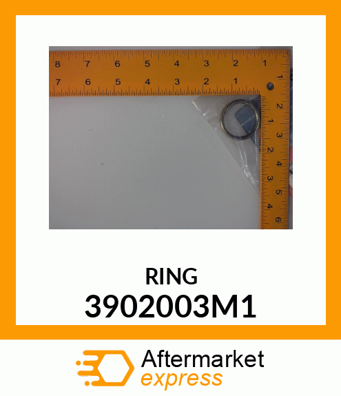 RING 3902003M1