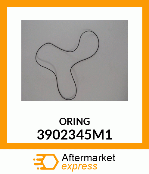 ORING 3902345M1