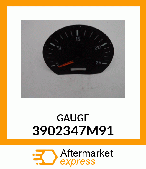 GAUGE 3902347M91