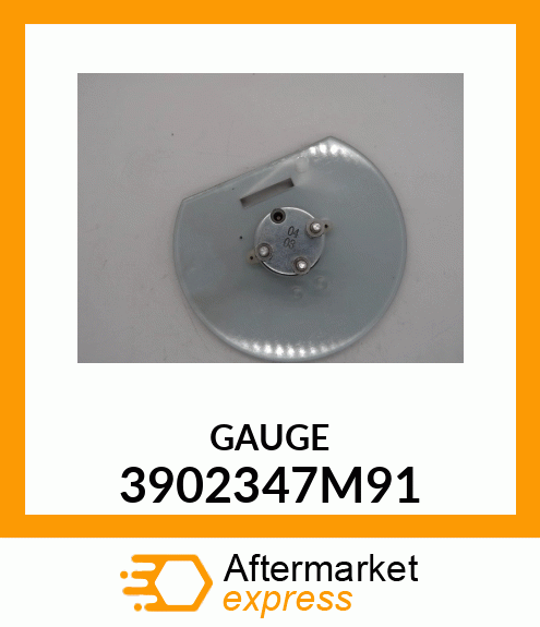 GAUGE 3902347M91