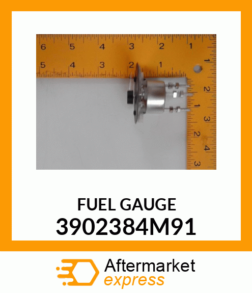 FUELGAUGE 3902384M91