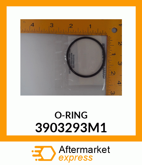 ORING 3903293M1