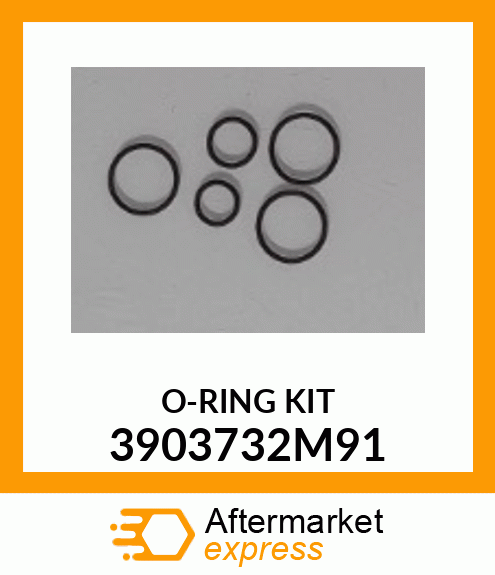 ORINGKIT4PC 3903732M91