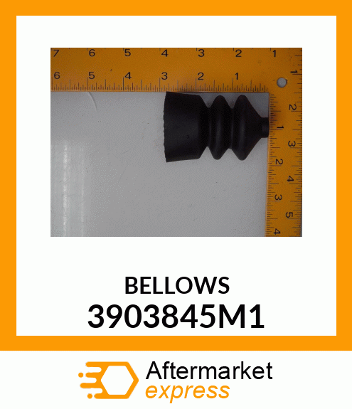 BELLOWS 3903845M1