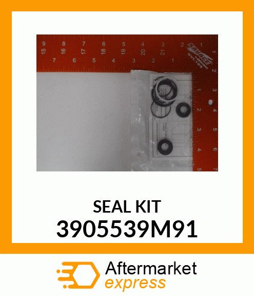 SEAL_KIT 3905539M91