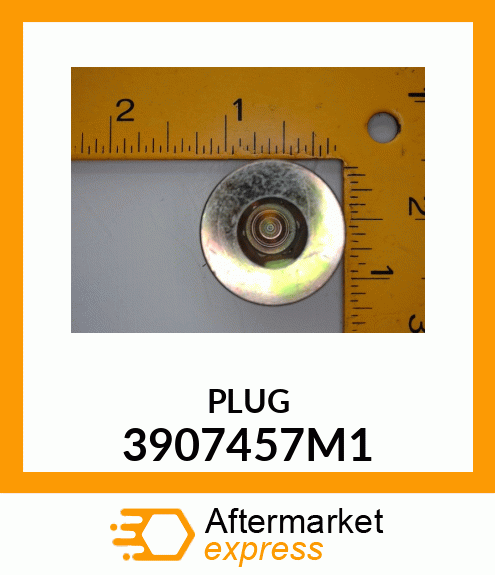 PLUG 3907457M1