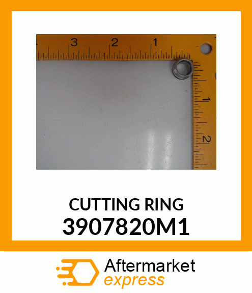 O-RING 3907820M1