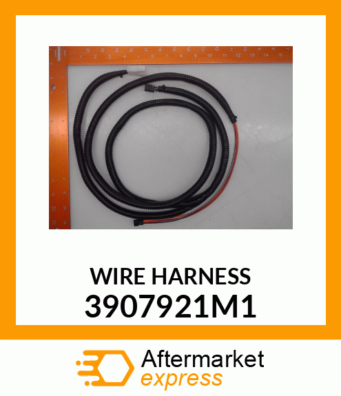 WIRE_HARNESS 3907921M1