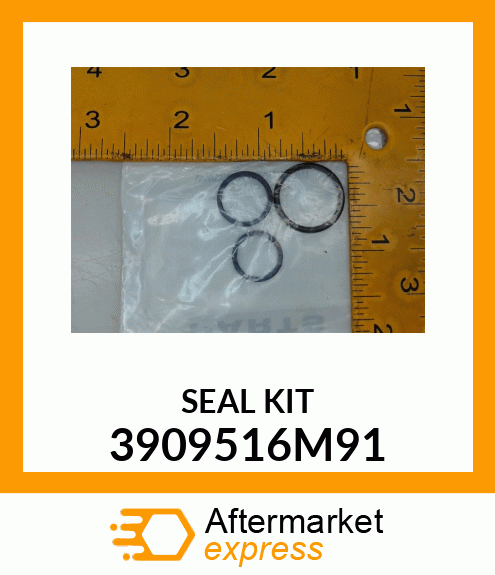 SEAL KIT 3909516M91