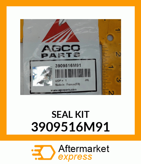 SEAL KIT 3909516M91