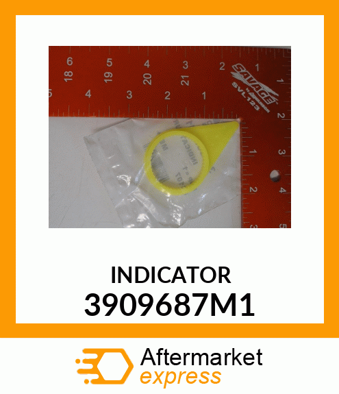 INDICATOR 3909687M1