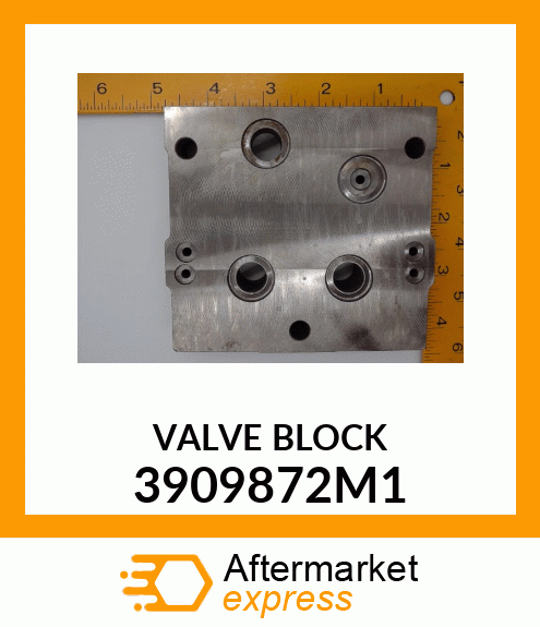 VALVE_BLOCK 3909872M1