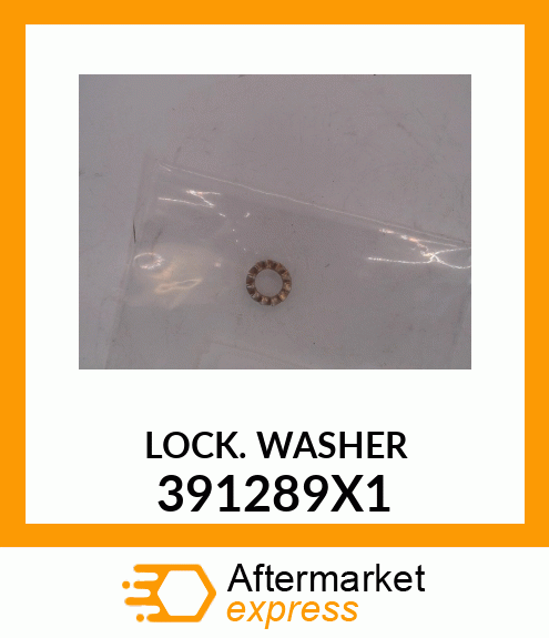 LOCKWASHER 391289X1