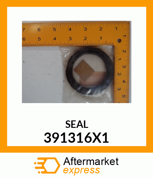 SEAL 391316X1