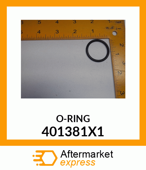 O-RING 401381X1