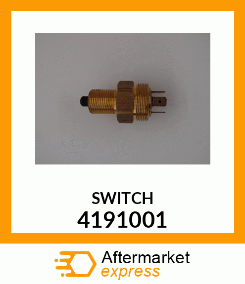 SWITCH 4191001