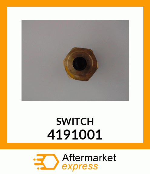 SWITCH 4191001