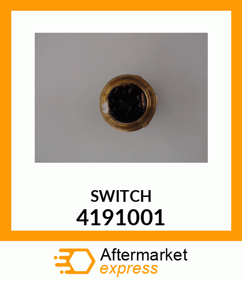 SWITCH 4191001