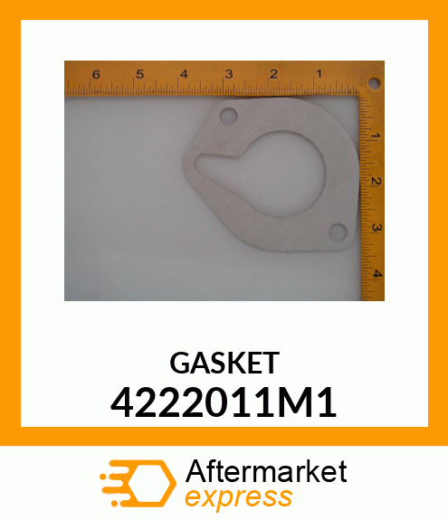 GASKET 4222011M1