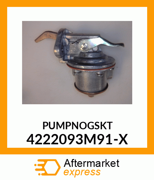 PUMPNOGSKT 4222093M91-X