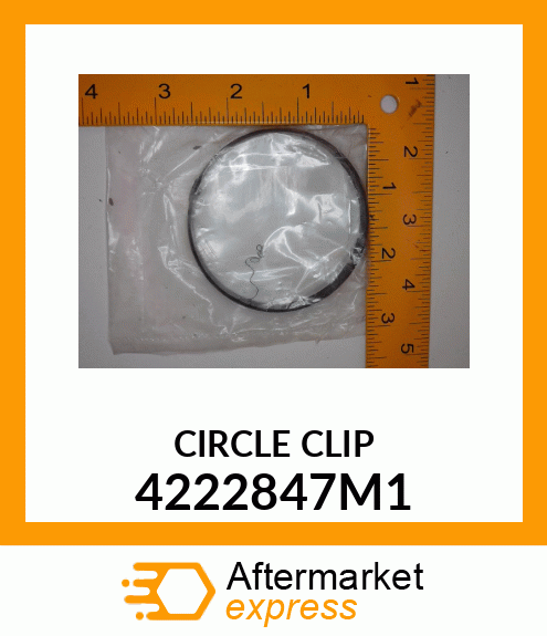 CIRCLECLIP 4222847M1